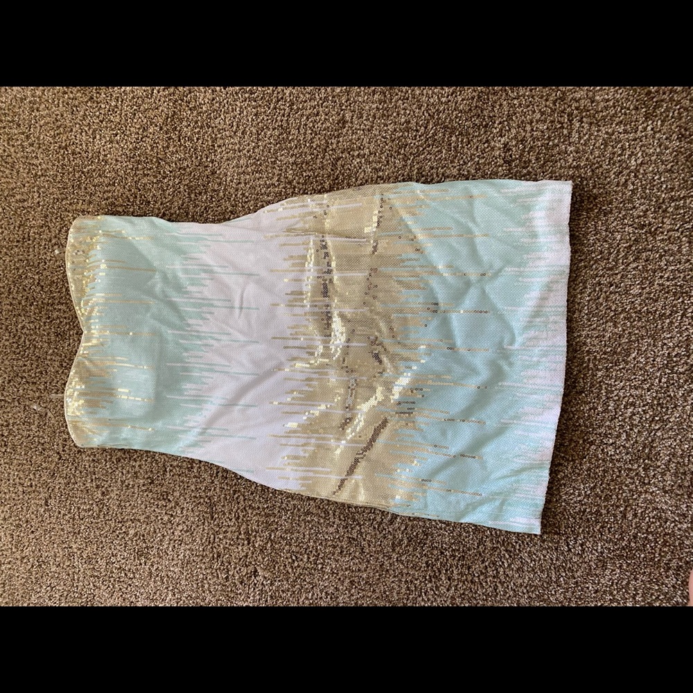 Charlotte Russe  dress